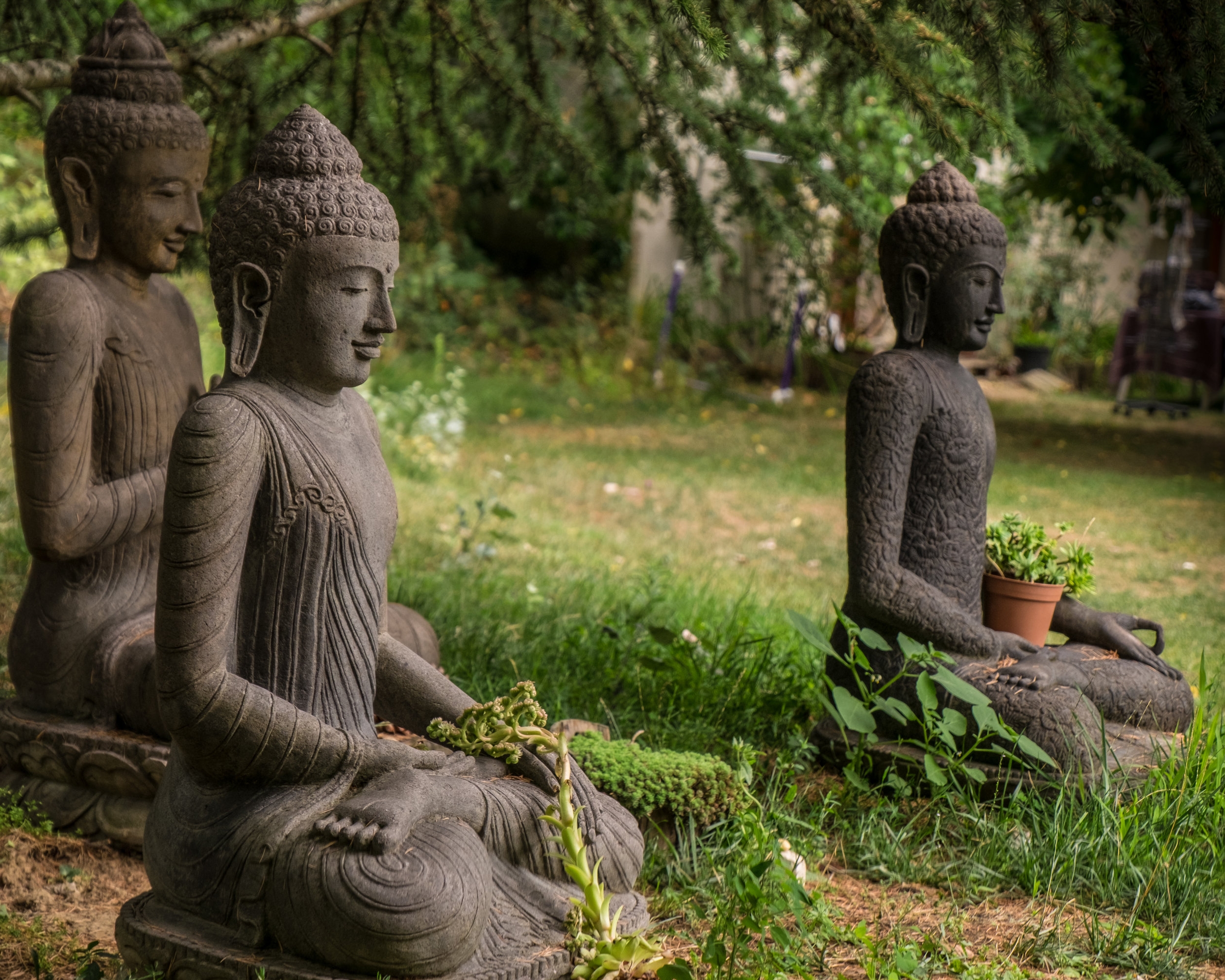 Blue Cliff Monastery — Thich Nhat Hanh Foundation